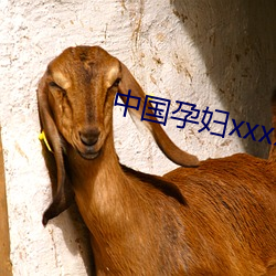 中国孕(yùn)妇(fù)xxxxxxxxx孕(yùn)