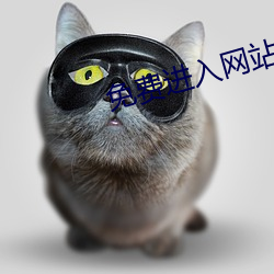 免费(費)进(進)入网(網)站