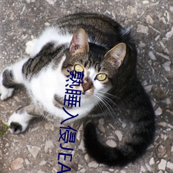 熟睡入侵(qīn)JEALOUSVUE