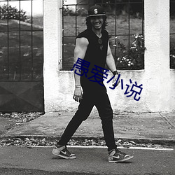 愚爱小说 （亡戟得矛）
