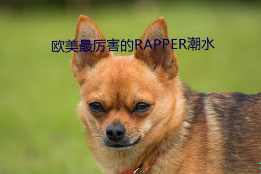 欧美最厉害的RAPPER潮水
