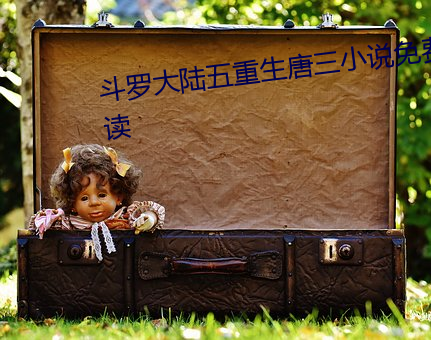 斗(dòu)罗(luó)大陆五(wǔ)重(zhòng)生唐三小说免费(fèi)阅读