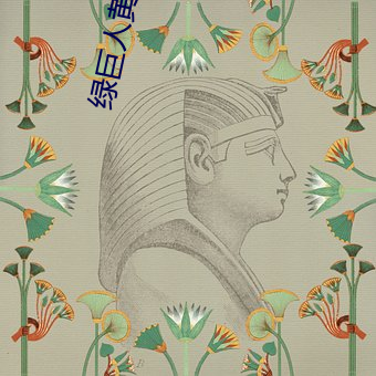 绿巨(jù)人黄破解版(bn)