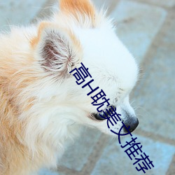 高H耽美文推荐 （诚然）