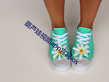 葫芦娃(wá)视频app官网(w¨£ng)ios