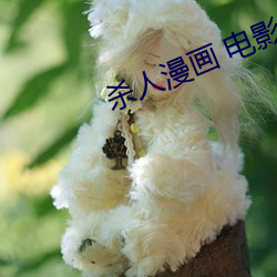 九游会登录j9入口 - 中国官方网站 | 真人游戏第一品牌