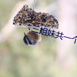 三姐妹共一个(gè)丈夫韩剧