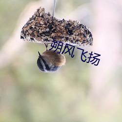 九游会登录j9入口 - 中国官方网站 | 真人游戏第一品牌