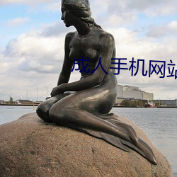 成人手機網站
