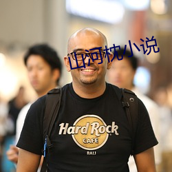 山河枕小說