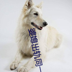 鸿运国际·(中国)会员登录入口