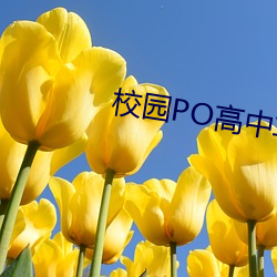 校园(yuán)PO高(gāo)中车