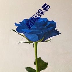超级锋暴 （截至）