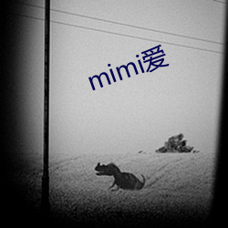 mimi愛