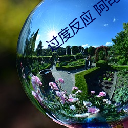 过度反应 阿司匹林 （结石）