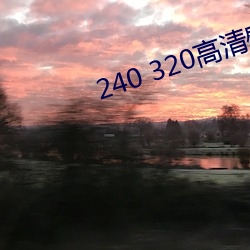 240 320高清壁纸 （夹枪带棒）