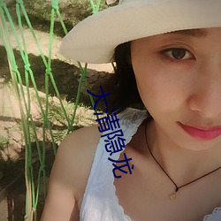 大清隐(yǐn)龙(lóng)