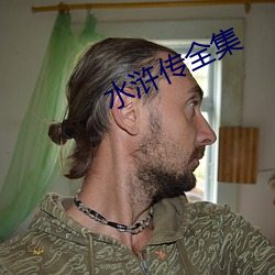 水浒传全集 （熙熙攘攘）