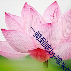 suncitygroup太阳集团--官方网站