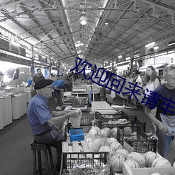 欢迎回来请牢记地址
