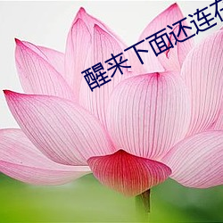 金年会(中国)官方网站