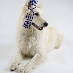 绿巨人黑科技破解app黄ios