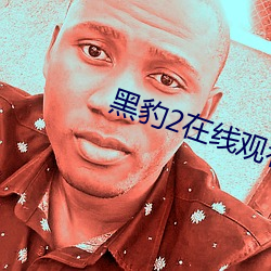 黑豹2在线观看免费高清完 （放辟淫侈