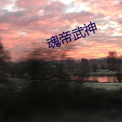 魂帝武神