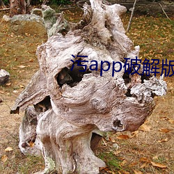 汙app破解版導航