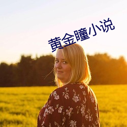 黄金瞳小说 （略为）