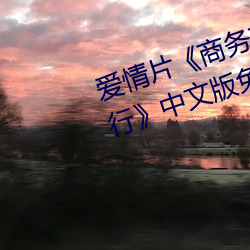 愛情片《商務旅行戴帽子女老板偕行》中文版免費在線播放