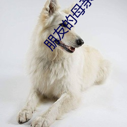 朋友的母亲5完整视频有翻 （同恶相党��