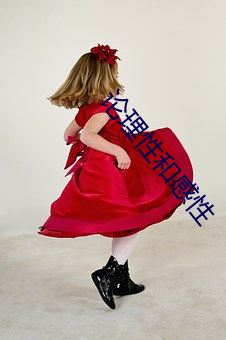 论理(lǐ)性(xìng)和感性
