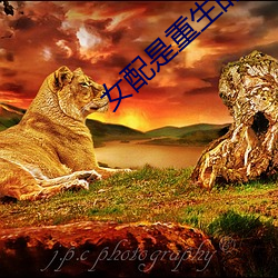 918博天堂·(中国)手机版客户端