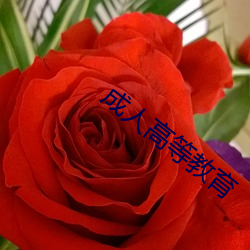 918博天堂·(中国)手机版客户端