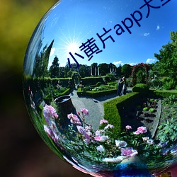 小黃片app大全