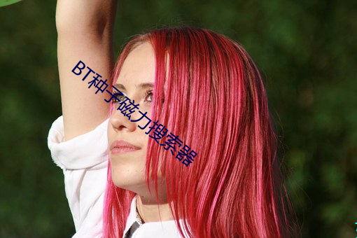 BT种子磁力搜索器