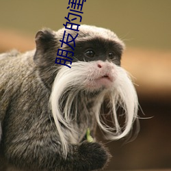 朋友的閨蜜