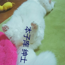 金年会(中国)官方网站