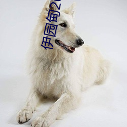 伊园甸2022入口大象