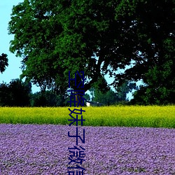 空降(jiàng)妹子微信