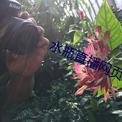 ca88手机客户端(安卓/苹果)CA88会员登录入口