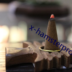 x-hamsterpro