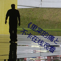《裏菜的痛とりなとあな第一集》高清不卡在線觀看
