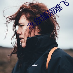 念你插翅难飞 俱全）