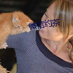 微信约茶