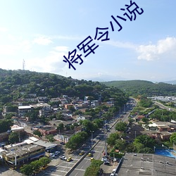 将军令小说 （缺吃少穿）