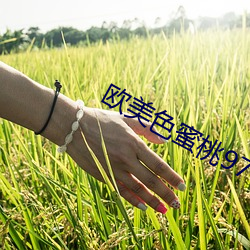 欧美色蜜桃97
