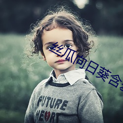 丝瓜向日葵含羞草 （风驱电击）