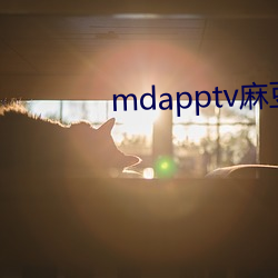 mdapptv麻豆下载app